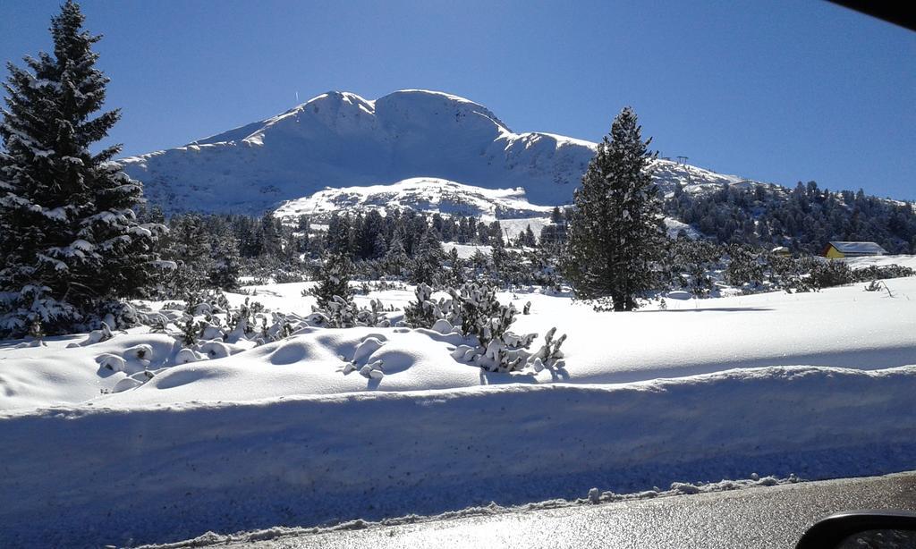 B&B La Tana Dell'Orso - Die Baerenhoehle Castello-Molina di Fiemme Ngoại thất bức ảnh