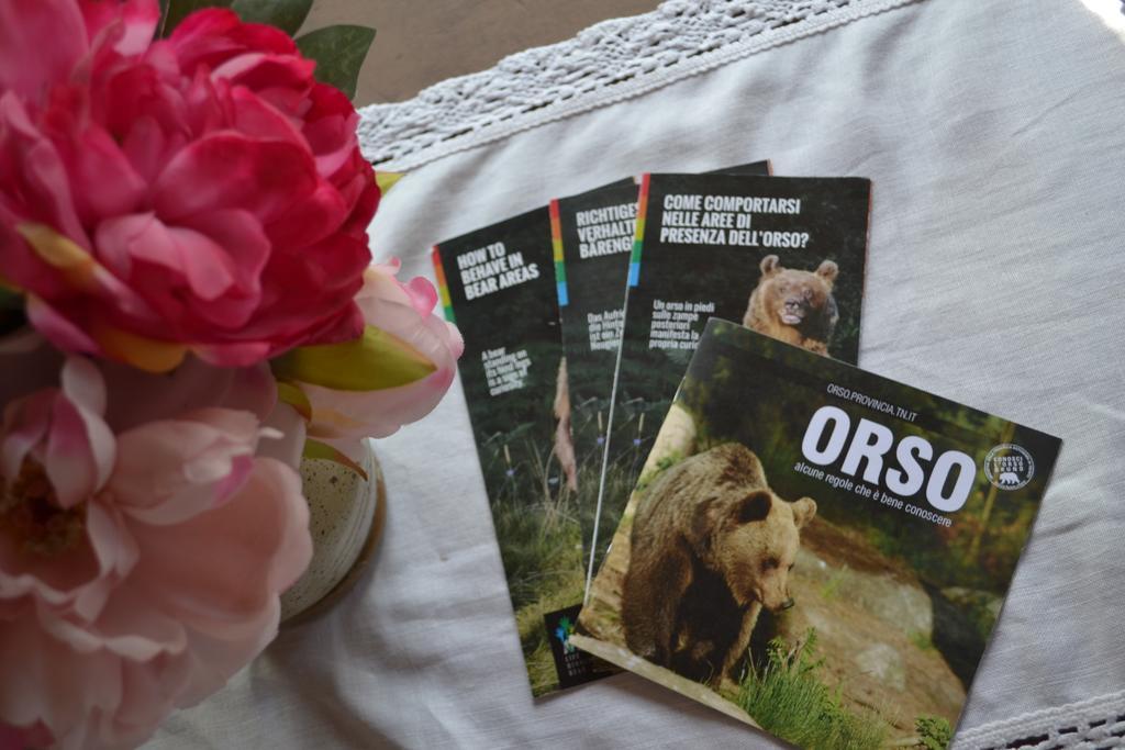 B&B La Tana Dell'Orso - Die Baerenhoehle Castello-Molina di Fiemme Ngoại thất bức ảnh