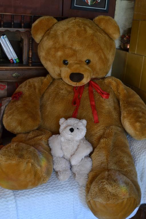 B&B La Tana Dell'Orso - Die Baerenhoehle Castello-Molina di Fiemme Ngoại thất bức ảnh