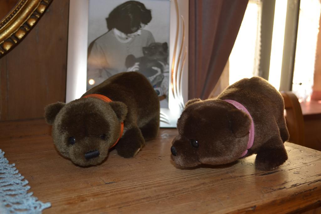 B&B La Tana Dell'Orso - Die Baerenhoehle Castello-Molina di Fiemme Ngoại thất bức ảnh