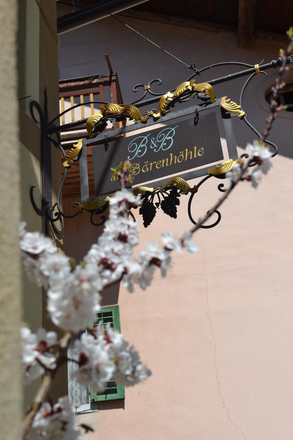B&B La Tana Dell'Orso - Die Baerenhoehle Castello-Molina di Fiemme Ngoại thất bức ảnh